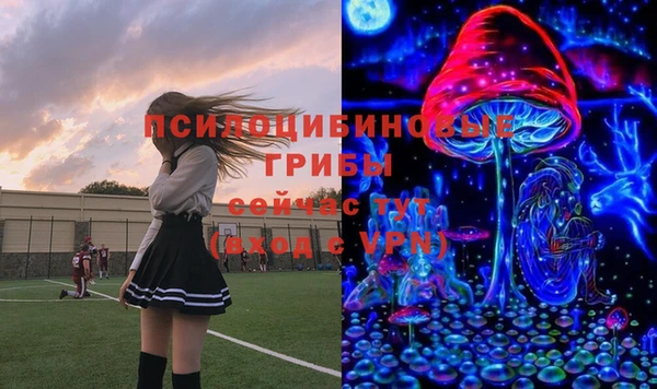 круглые Арсеньев