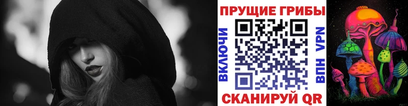 наркота  Ленинск-Кузнецкий  Псилоцибиновые грибы ЛСД 