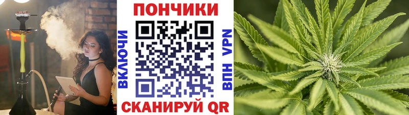 купить закладку  Ленинск-Кузнецкий  блэк спрут зеркало  Бошки Шишки MAZAR 
